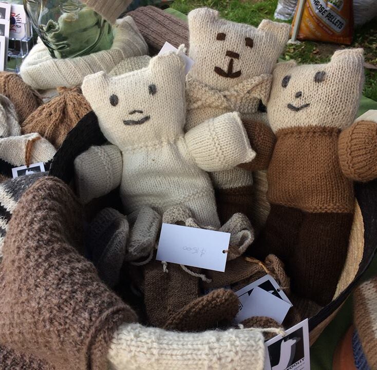 Pacawoolly bears