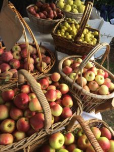rita apples2
