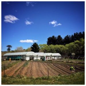 Jerrabatt Gully Organics