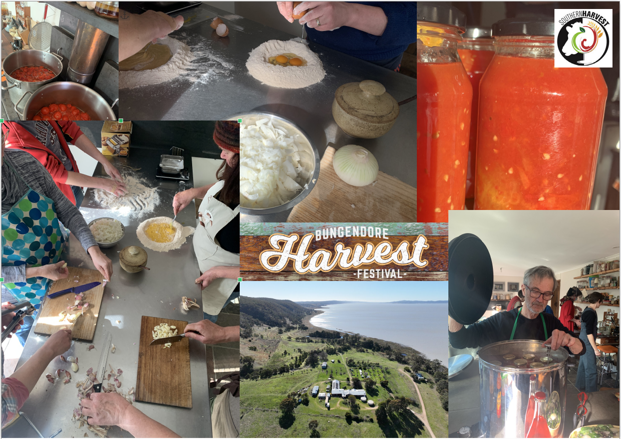 Harvest Festival '23 - Passata Workshop & Long Lunch