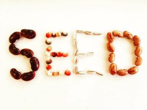 Canberra Seed SaversSeed Art
