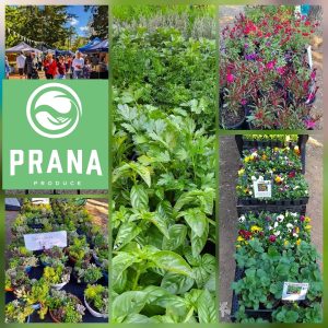 prana produce image