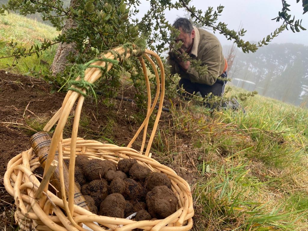 Winter Festival '24 - Fresh Truffle Cooking Demonstration