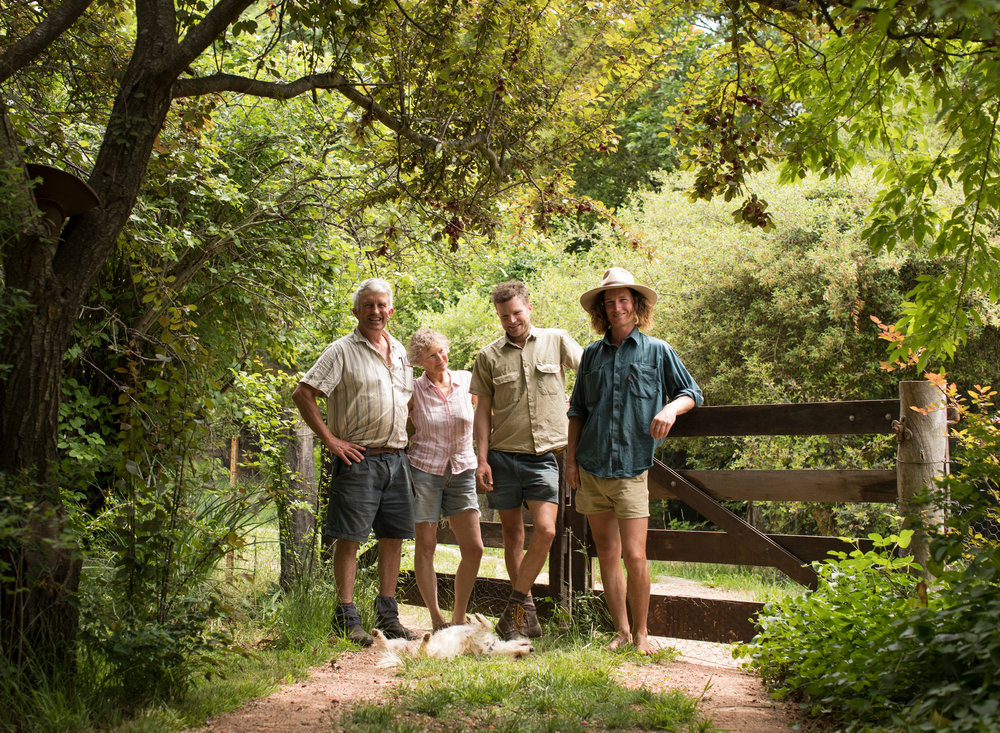 Millpost Permaculture Farm Tour - Harvest Festival 2025