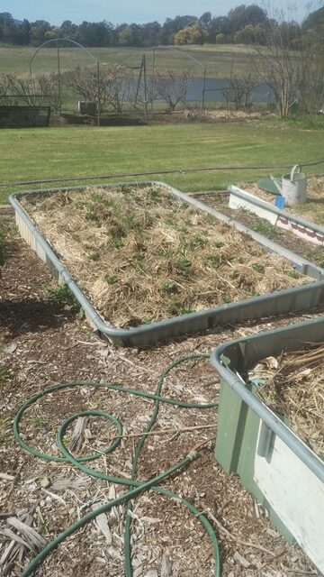 Creating Garden Structures From Recycled Materials - Tanglewood Farm Workshop - Image 2