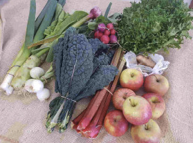 Paddock Plot Twist Trivia – Veggie Edition at Scrumpers Kitchen - Image 7