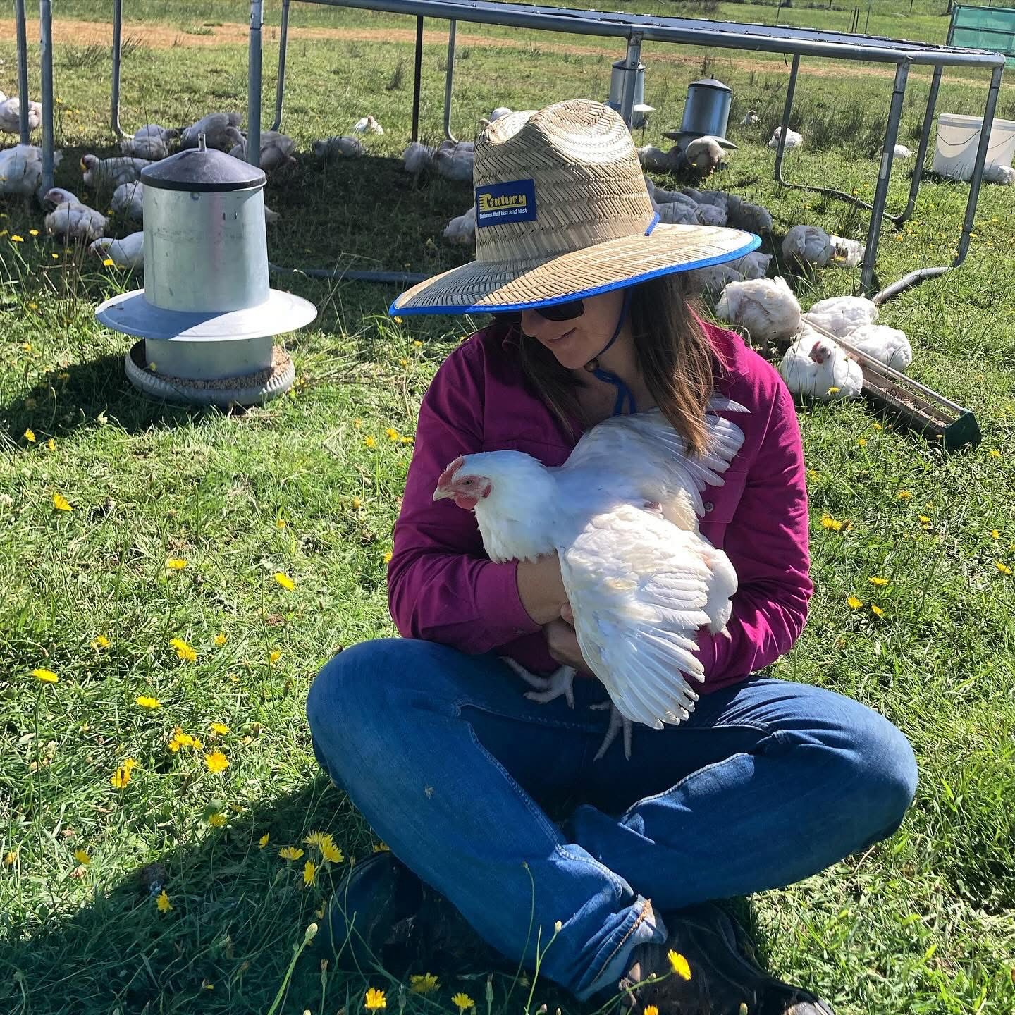 Branch and Burrow Farm Tour - Harvest Festival 2026 - Image 8