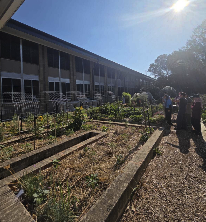 Stepping Stone Urban Farm Tour - Image 6