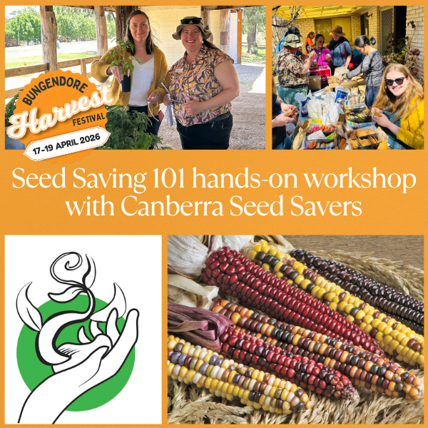 Seed Saving 101 hands-on workshop with Canberra Seed Savers