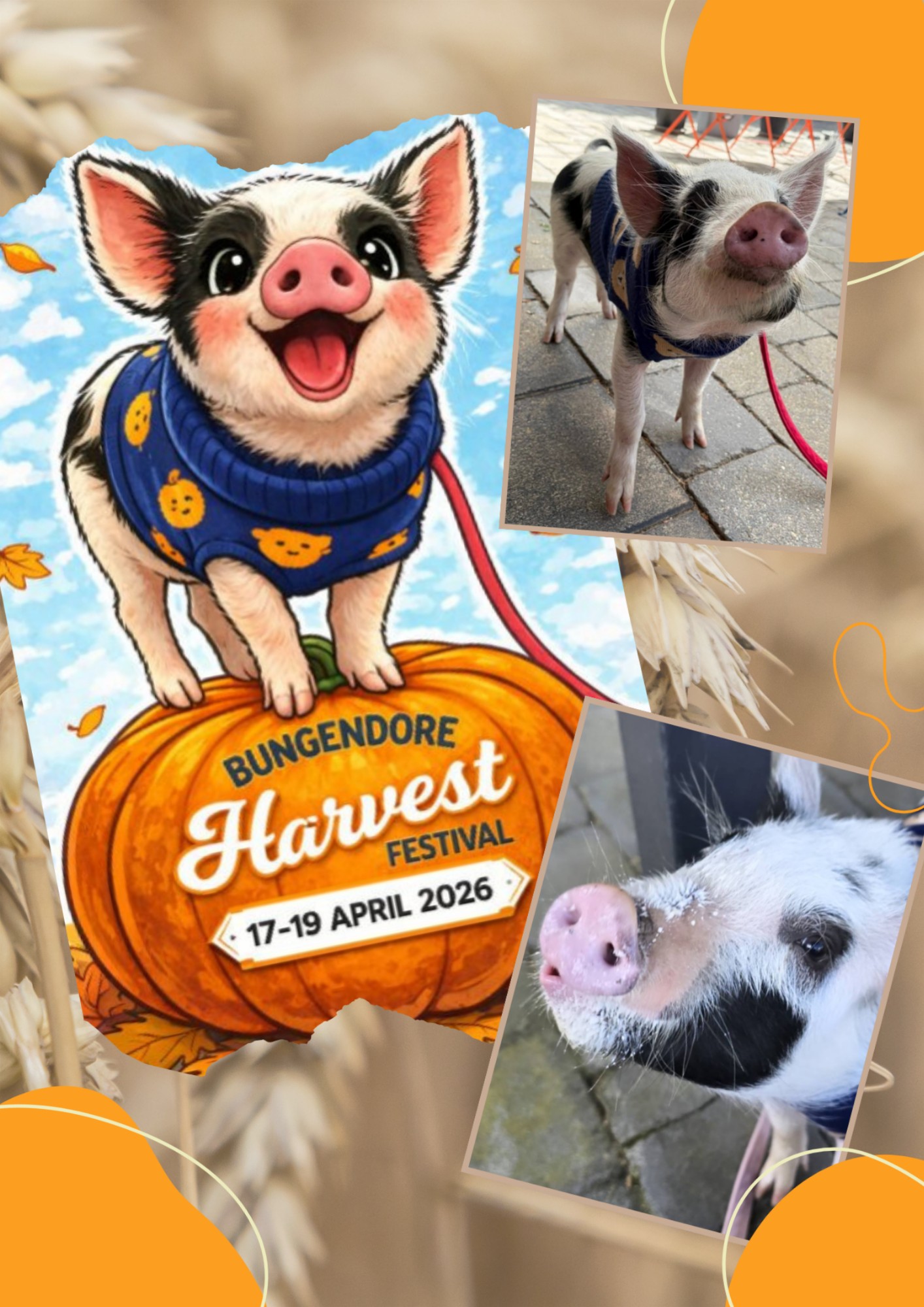 Bacon the Pig