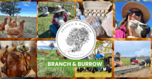 Branch and Burrow Supper Club