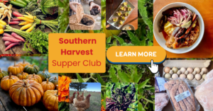 Supper Club